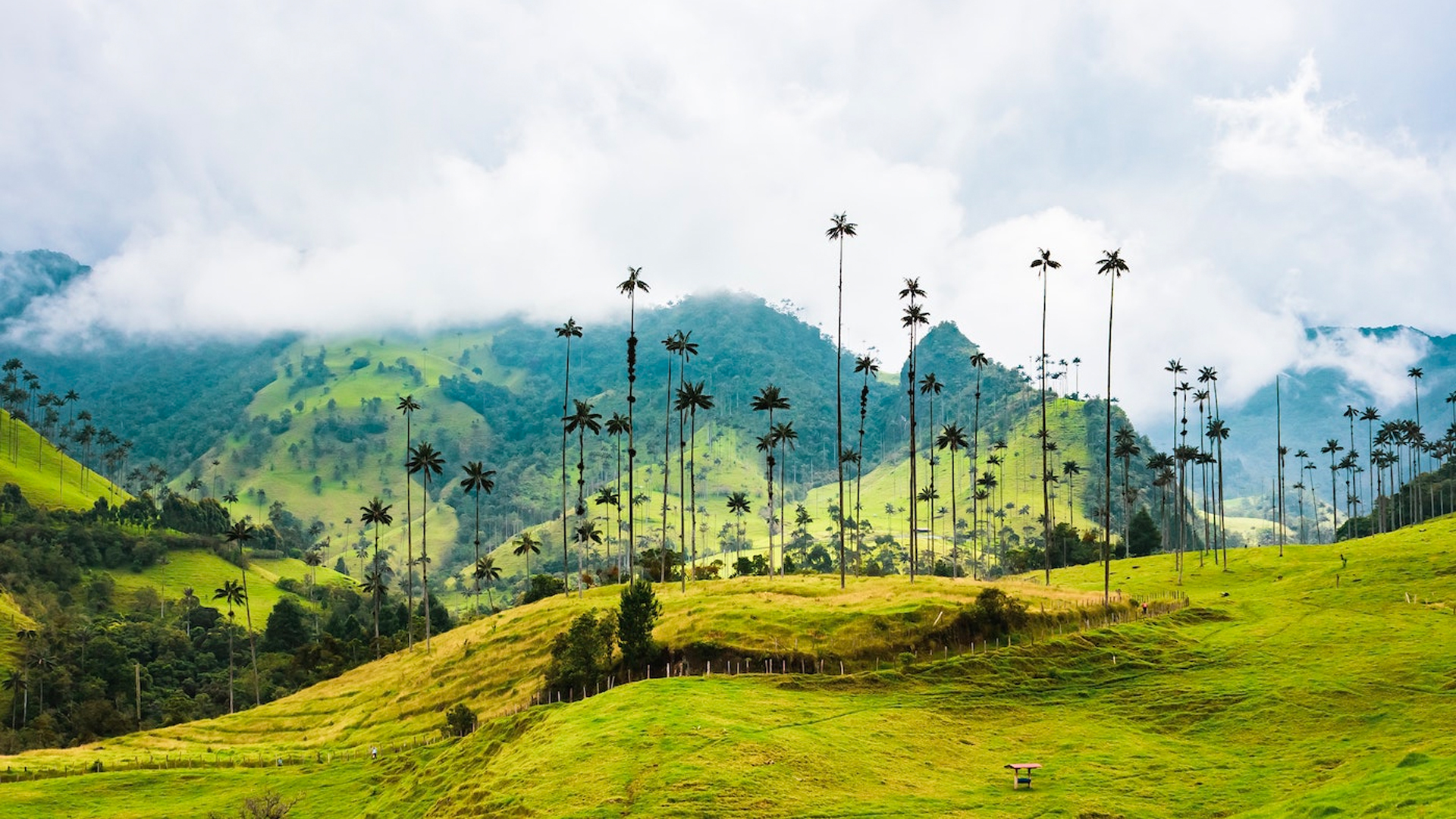 Eje Cafetero, Colombia