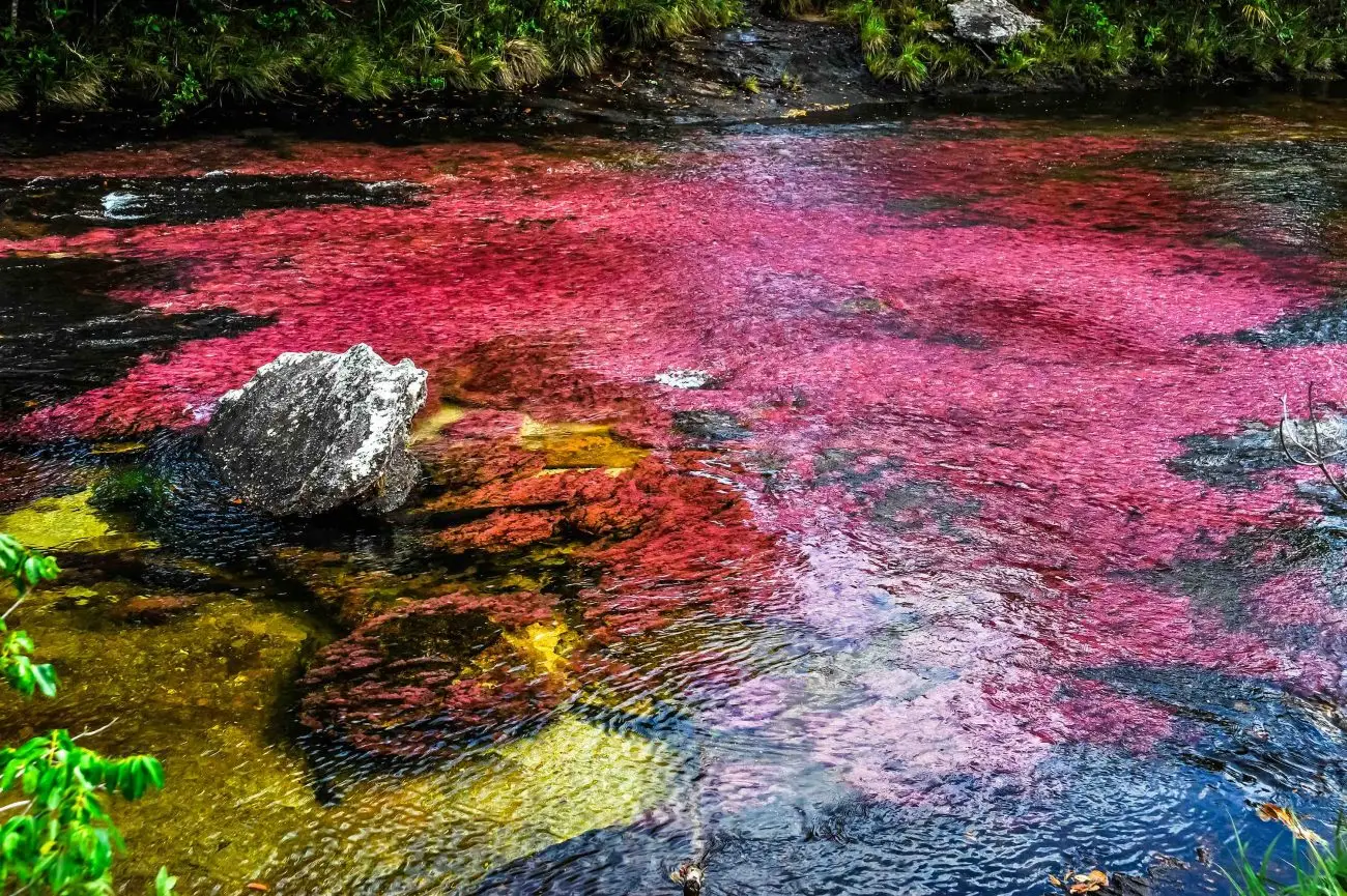 Caño Cristales, Villavicencio